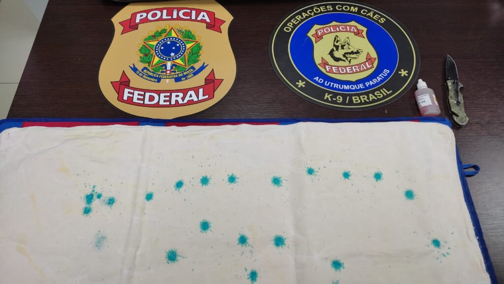 (Foto: divulgação/PF)