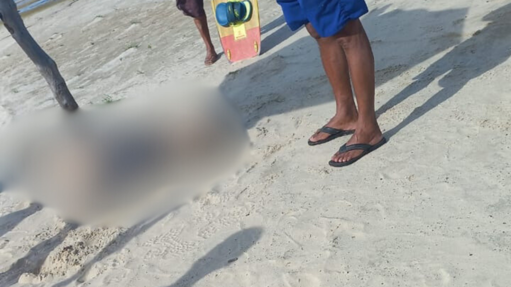 (Foto: reprodução/WhatsApp)