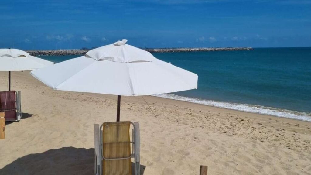 (Foto: divulgação/Semace)