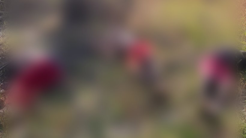 Três corpos são encontrados amarrados em área de mata em Pacatuba