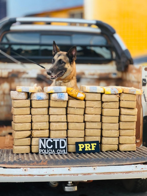 Mais de 60 kg de drogas são apreendidos pela PRF e Policia Civil