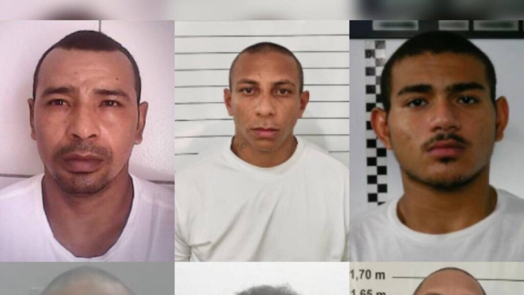 (Foto: reprodução)