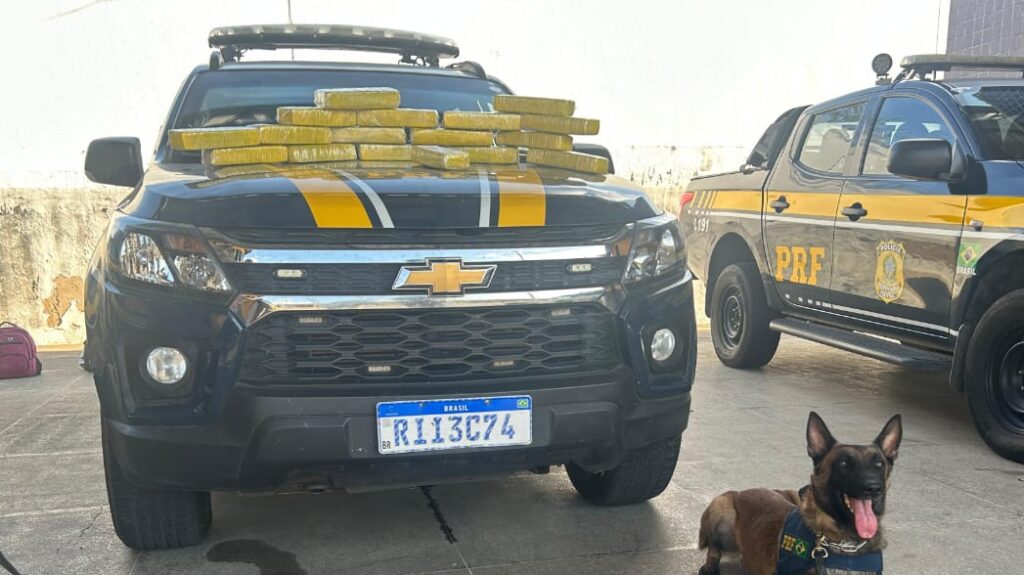 PRF apreende 14 quilos de maconha em ônibus que vinha de São Paulo