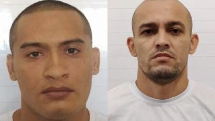 (Foto: reprodução/SAP)