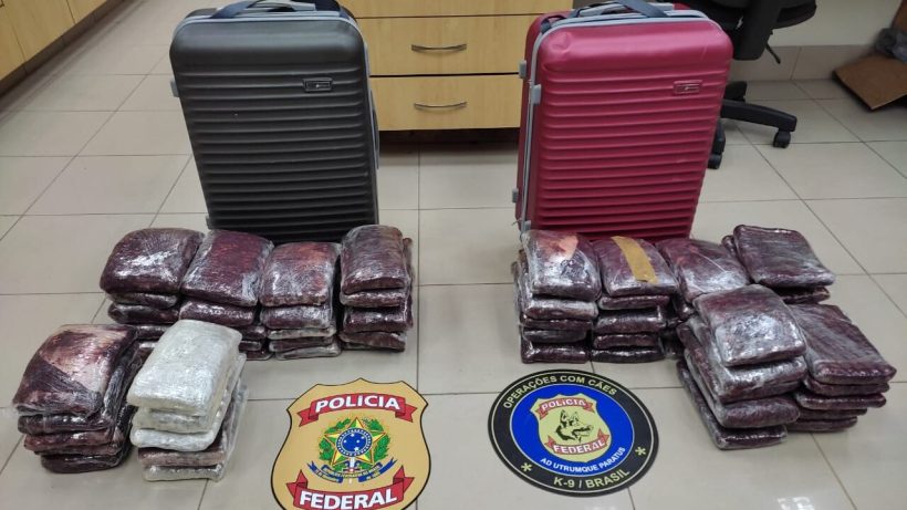 PF prende passageiro no Aeroporto de Fortaleza com 33 quilos de maconha