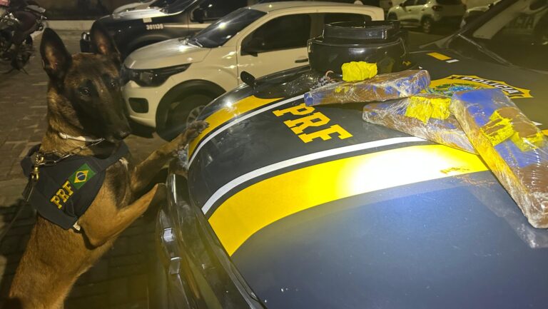 Mulher é presa em ônibus intermunicipal transportando maconha para o interior do estado
