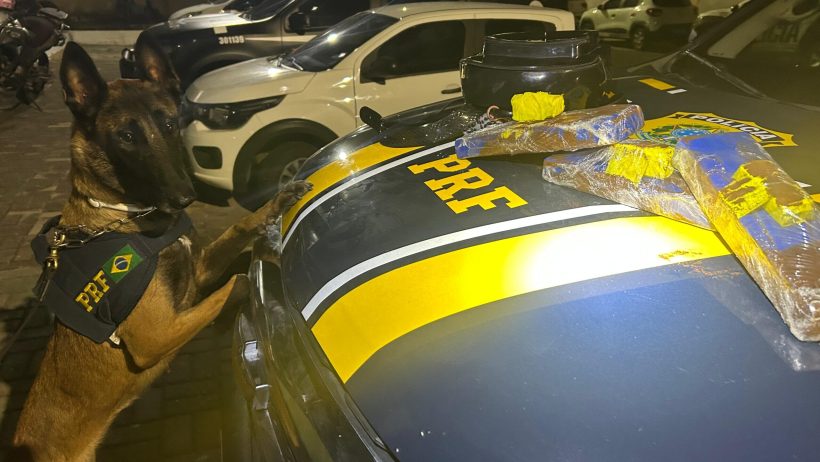 Mulher é presa em ônibus intermunicipal transportando maconha para o interior do estado