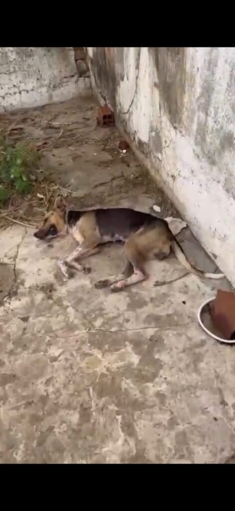 Foto: Divulgação/PC