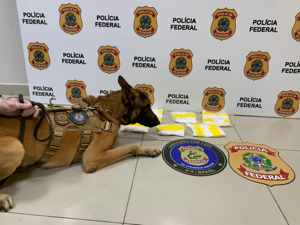 (Foto: Reprodução/PF)