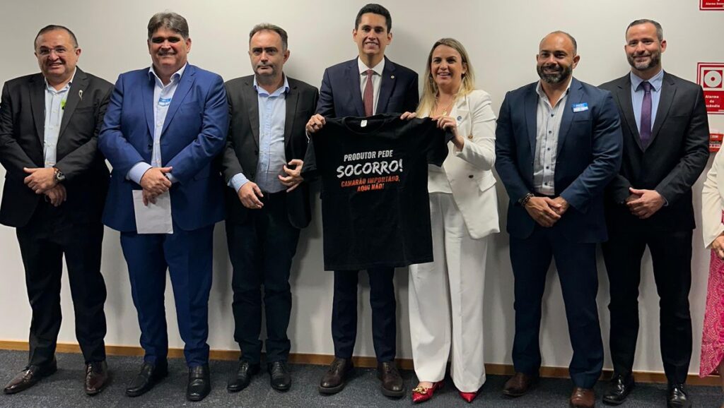 (Foto: divulgação)