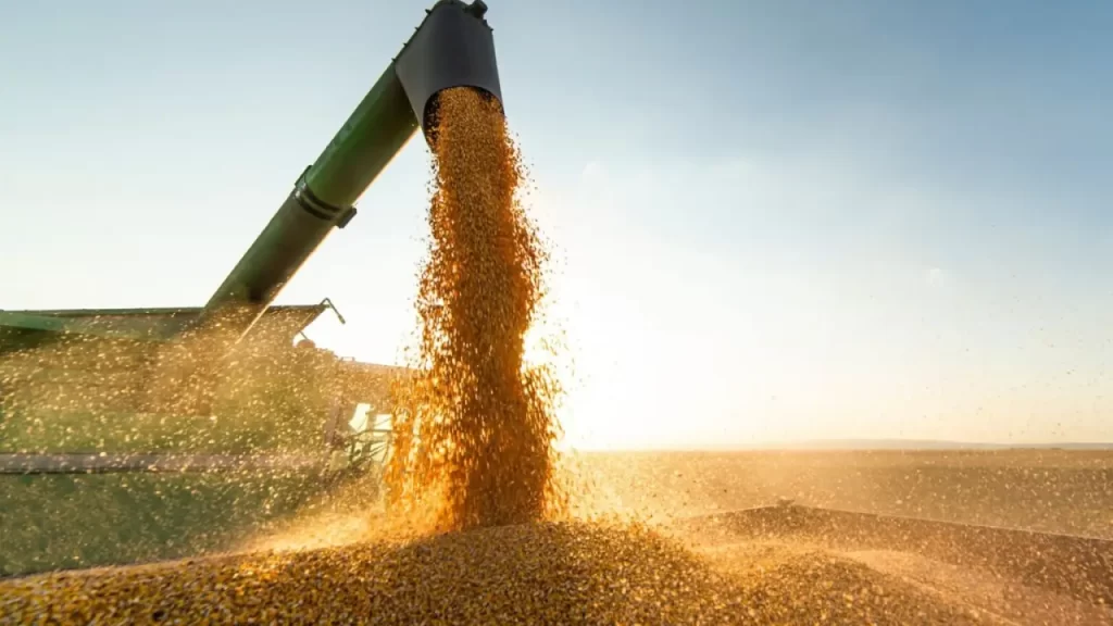Facções criminosas cobram pedágio de produtores agrícolas