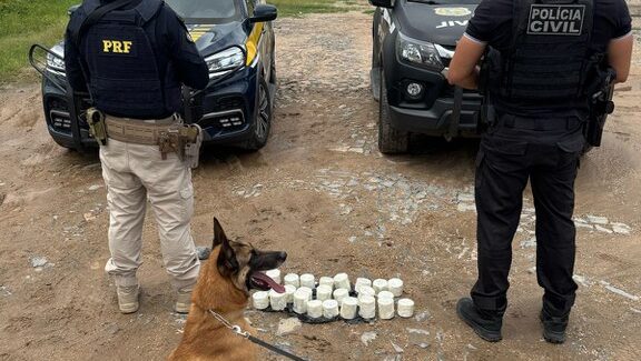 Polícia apreende mais de 8 kg de cocaína em Várzea Alegre