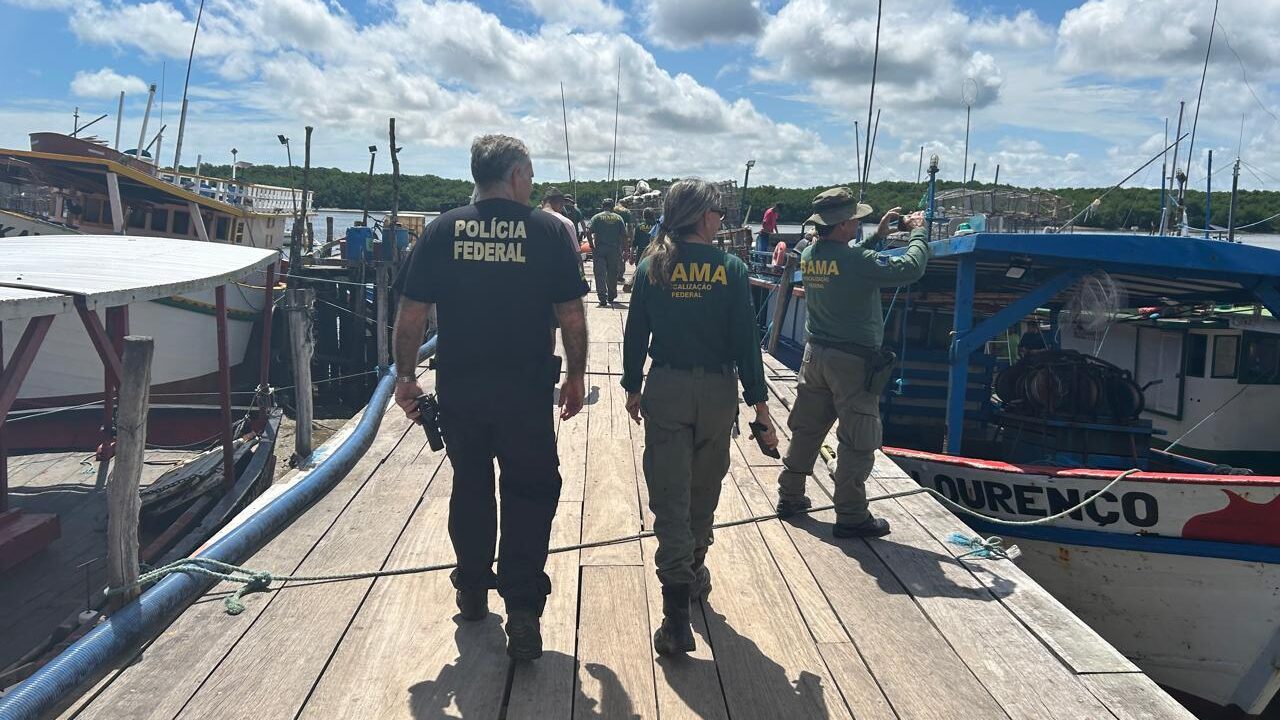 Polícia Federal e IBAMA realizam Operação Panulirus para combater a pesca irregular da lagosta