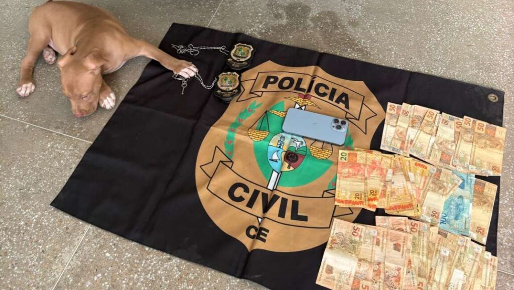 (Foto: reprodução/PCCE)