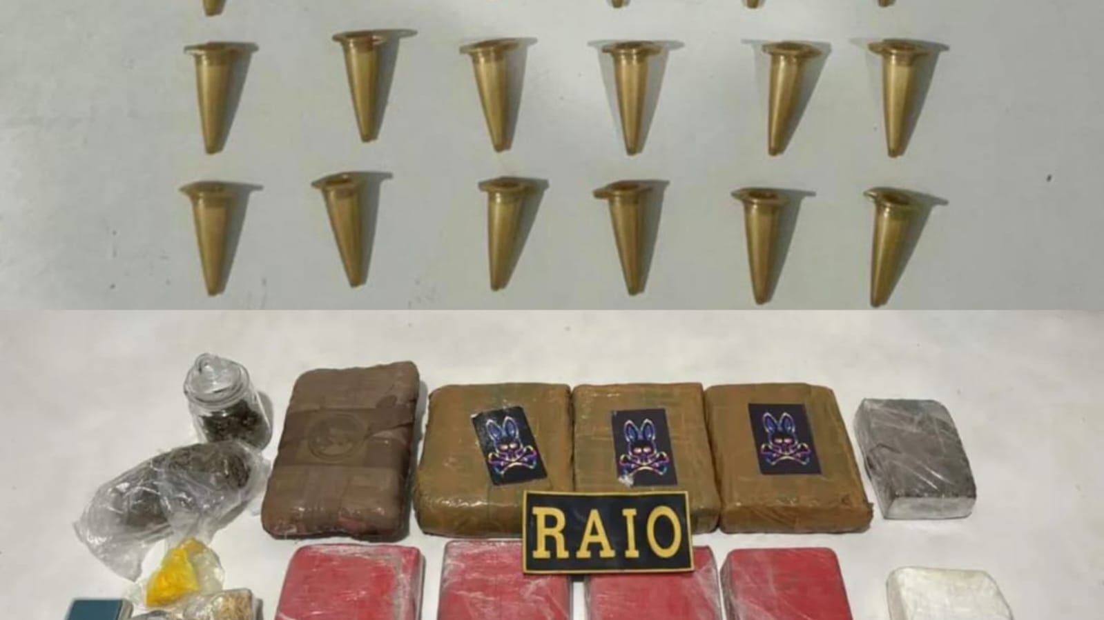 Raio apreende mais de 10 quilos de drogas na Grande Fortaleza