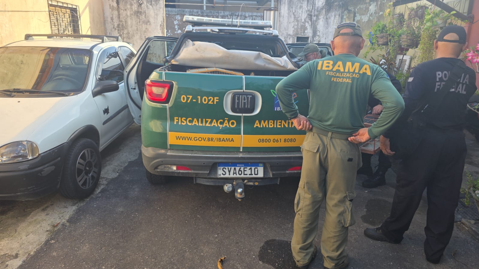 Operação Aracê III da PF combate o tráfico de animais silvestres