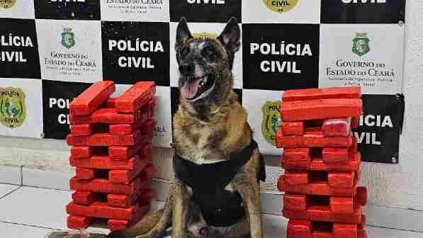 Mulher é presa pela PCCE com 24 quilos de drogas na BR-020, em Tauá