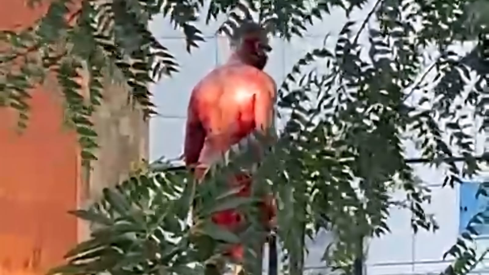 PM combate conflito entre torcedores de Fortaleza e Ceará no Jardim Guanabara