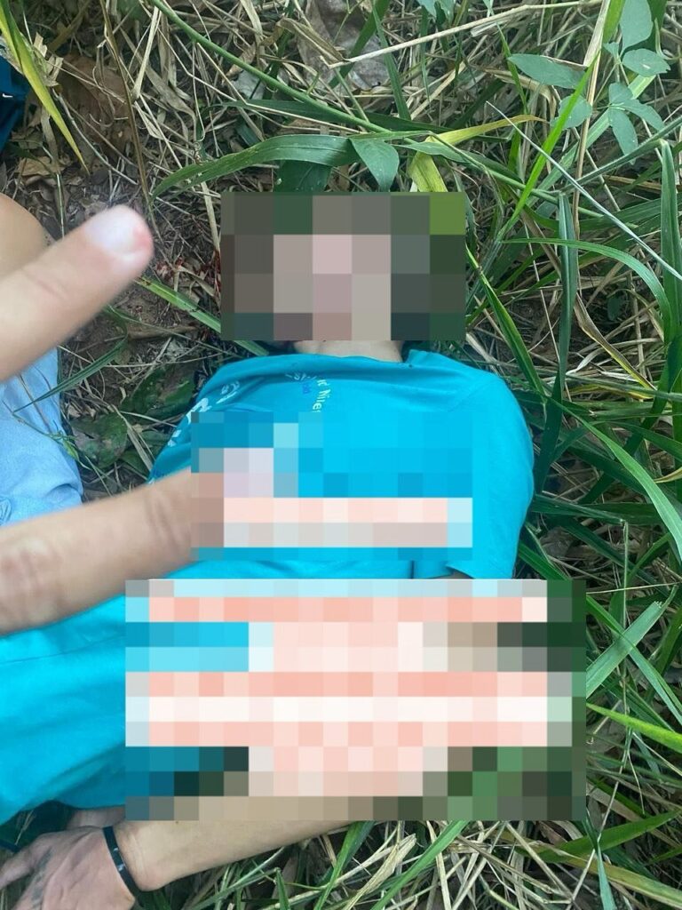 (Foto: reprodução/WhatsApp)