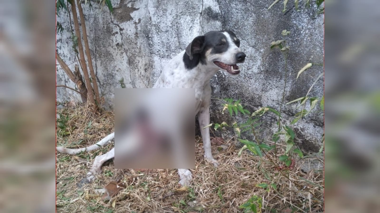 Tentativa de chacina deixa um morto e quatro feridos em Sobral