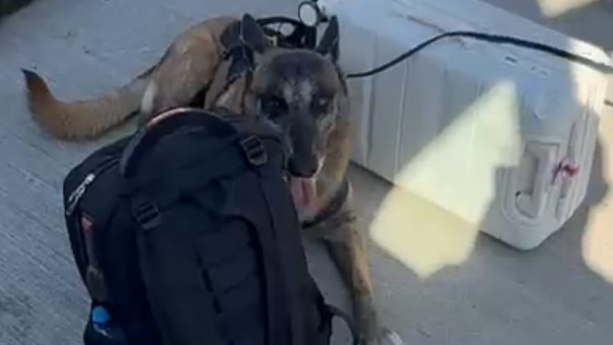 (Foto: Reprodução/Vídeo)