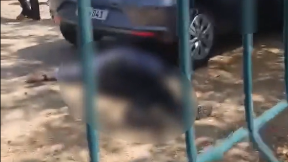 (Foto: reprodução/vídeo)
