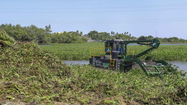 Prefeitura de Caucaia utiliza trator aquático para intensificar limpeza da Lagoa do Tabapuá