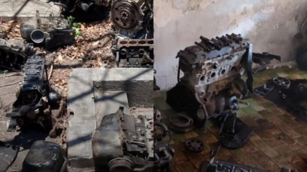 (Foto: Divulgação/PCCE)