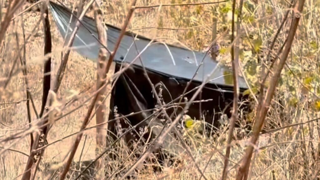 (Foto: reprodução/vídeo)