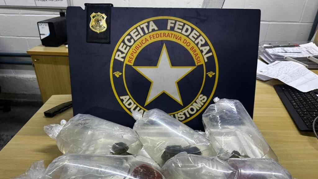 Receita Federal apreende em Fortaleza corais oriundos de Santa Catarina