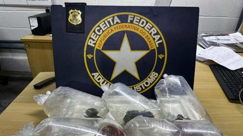 Receita Federal apreende em Fortaleza corais oriundos de Santa Catarina