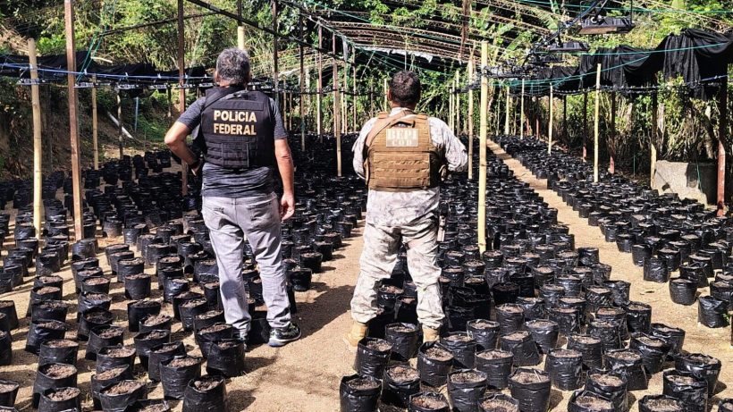 (Foto: reprodução/PF)