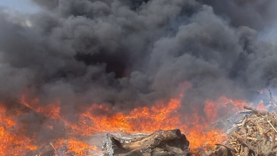 (Foto: Reprodução)