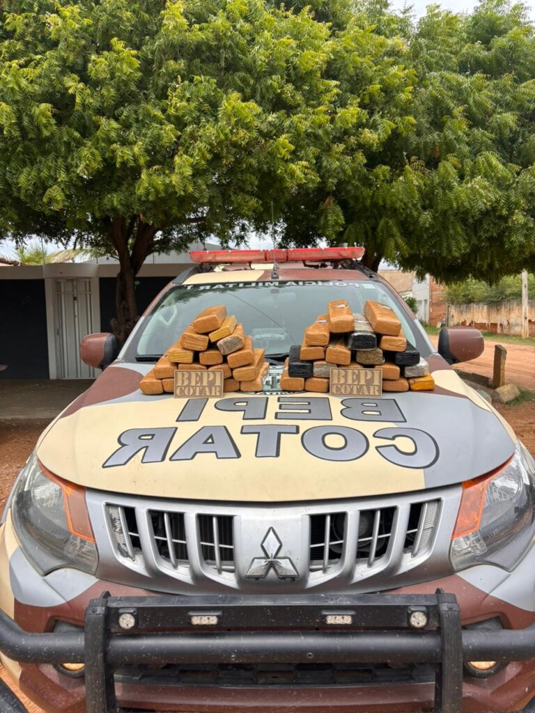 PM apreende 70 kg de maconha em ações nos municípios de Brejo Santo e Icó