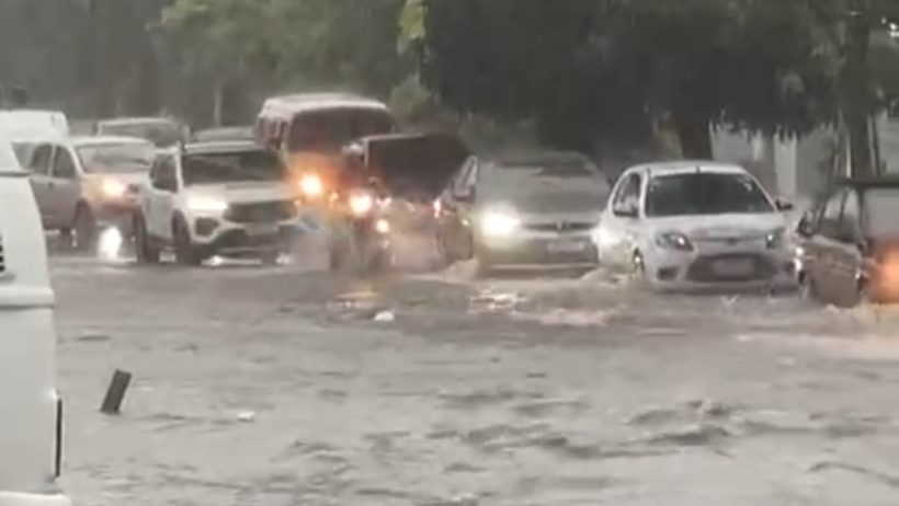 (Foto: Reprodução/vídeo)