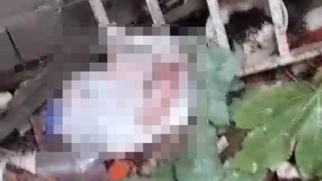 Recém-nascido é encontrado em sacola plástica no meio do lixo, em Icó