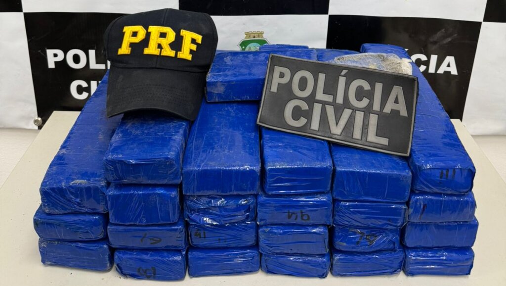 PRF intercepta veículo com 20 kg de maconha na BR-230 e prende suspeito