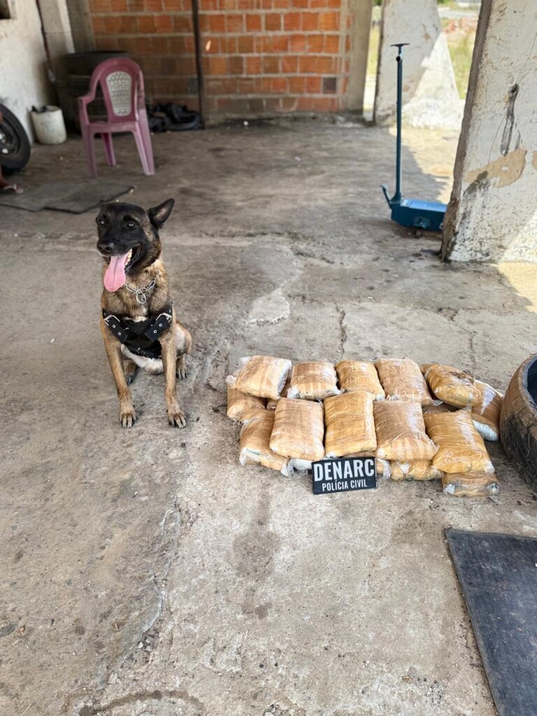 Suspeito é preso com 45 kg de drogas escondidas em carro vindo do Amazonas