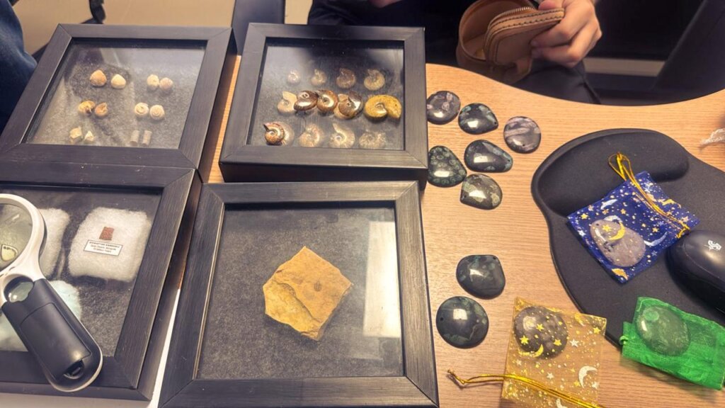 PF deflagra operação contra contrabando internacional de fósseis no Cariri