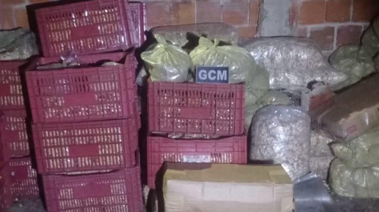 Guarda Municipal do Eusébio recupera caminhão com quase 1,5 tonelada de castanhas roubadas