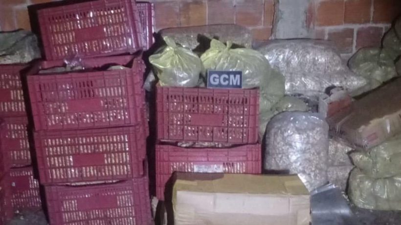 Guarda Municipal do Eusébio recupera caminhão com quase 1,5 tonelada de castanhas roubadas