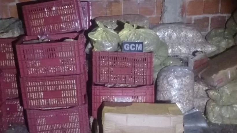 Guarda Municipal do Eusébio recupera caminhão com quase 1,5 tonelada de castanhas roubadas