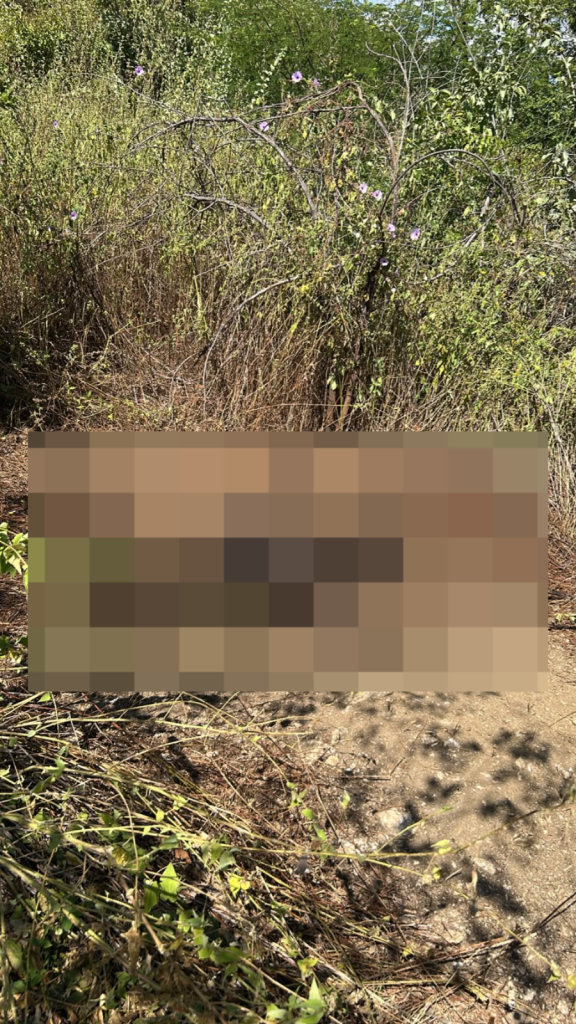 Corpo carbonizado é encontrado em área rural de Caridade, no interior do Ceará