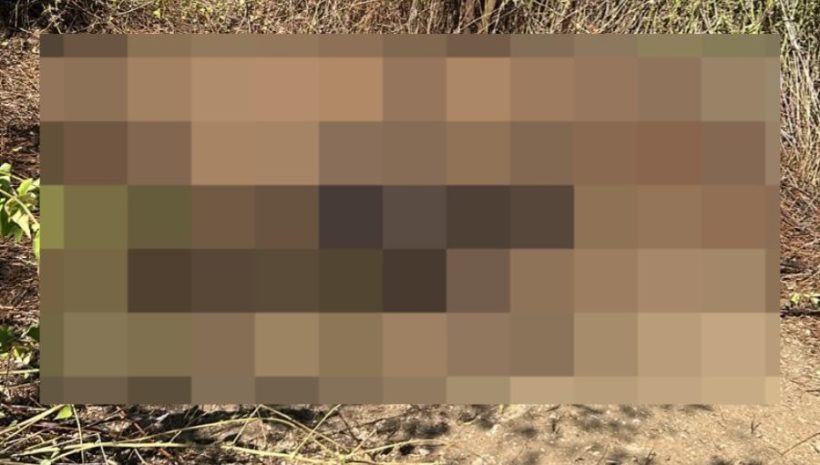 Corpo carbonizado é encontrado em área rural de Caridade, no interior do Ceará