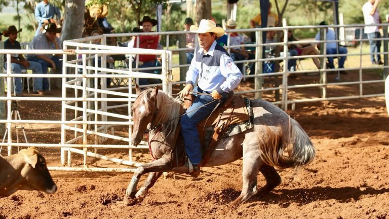 Conheça o Ranch Sorting: esporte que une técnica, estratégia e velocidade