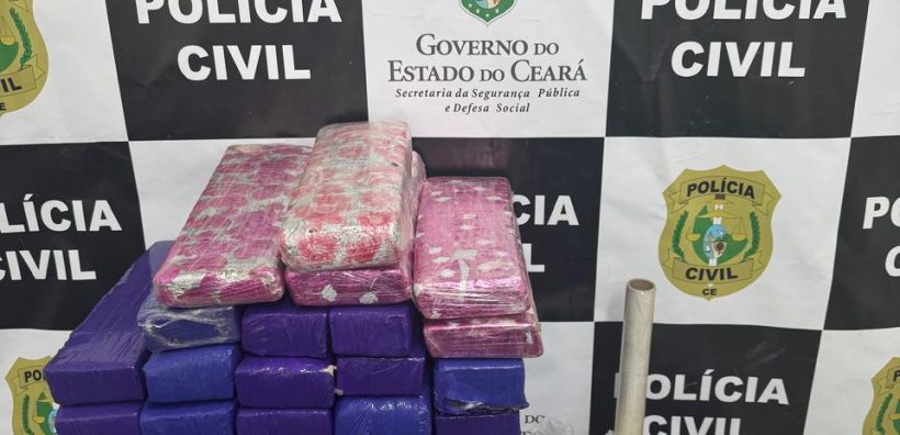 (Foto: reprodução/Polícia Civil)