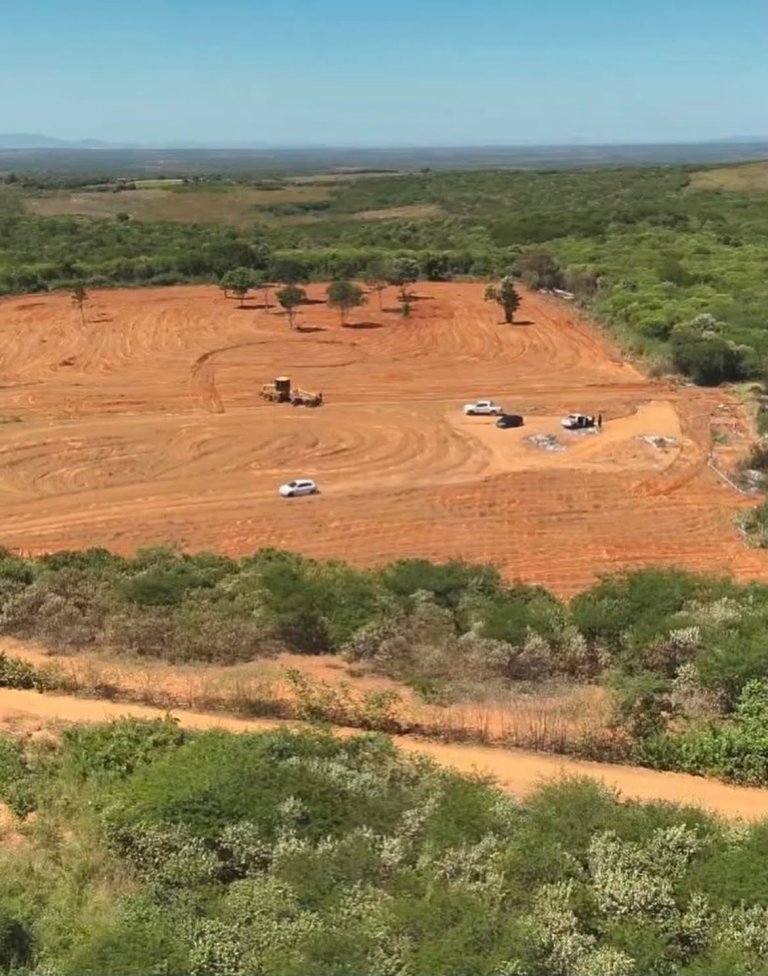 André Fernandes e Governo trocam acusações sobre destruição de plantação de maconha em Acopiara