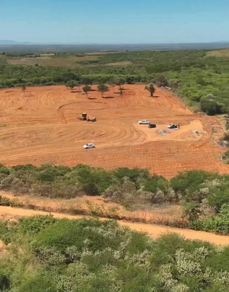 André Fernandes e Governo trocam acusações sobre destruição de plantação de maconha em Acopiara