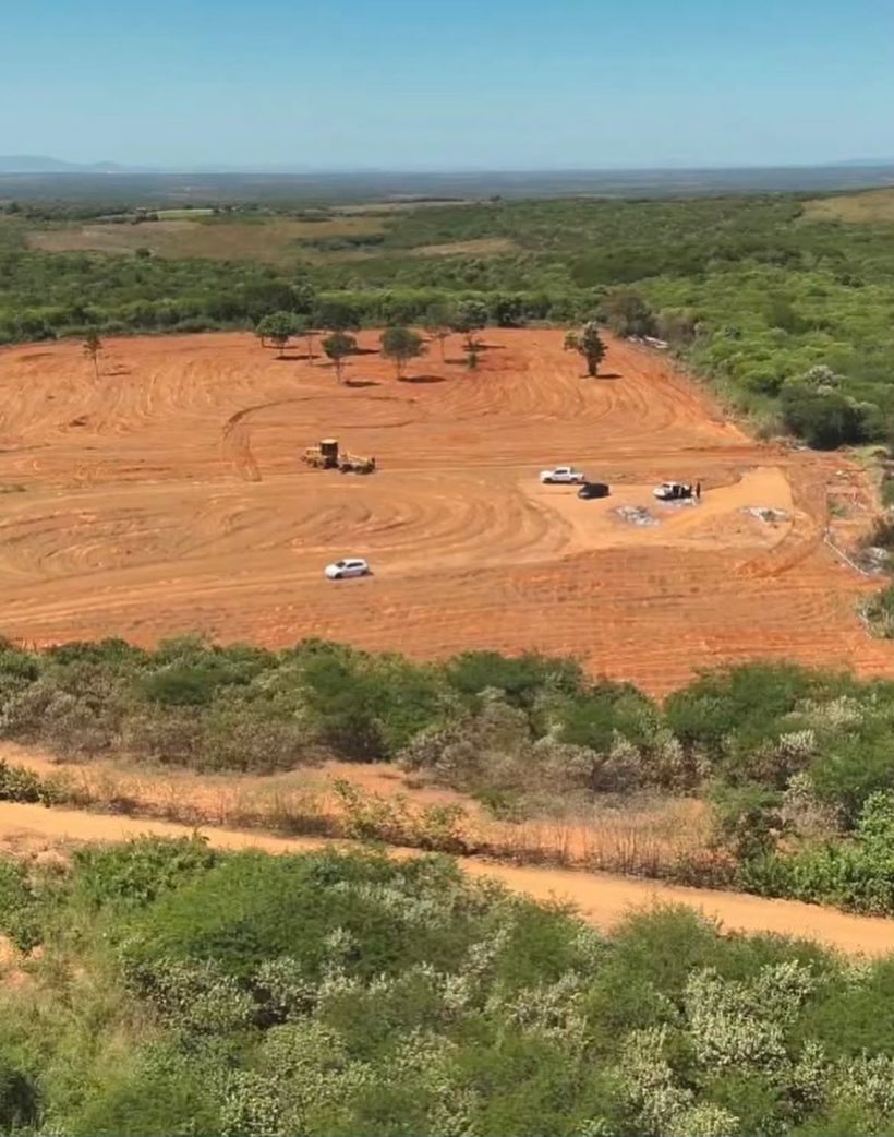 André Fernandes e Governo trocam acusações sobre destruição de plantação de maconha em Acopiara