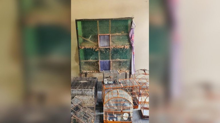 PF faz operação contra caça ilegal de animais silvestres nos Sertões de Canindé